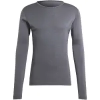 Adidas Xperior Merino 260 Baselayer Long Sleeve T-shirt Gris M Homme