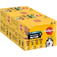 Pedigree 12x85g Adult Sachet fraîcheur Protéine Plus en gelée 4 variétés d'aliments pour chiens humides