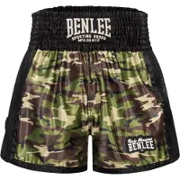 Benlee Pantalon de sport 'Hinkley' marron / vert / noir / blanc