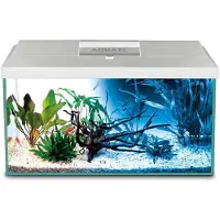 Aquael Shirmp D And N Complete Aquarium 19l Blanc