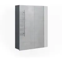 Vicco Armoire de toilette Fredd Anthracite Haute brillance 60x77cm, Model 29929