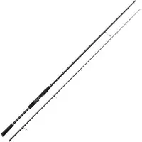 Westin W2 Powerteez Spinning Rod Argenté 2.50 m / 14-49 g
