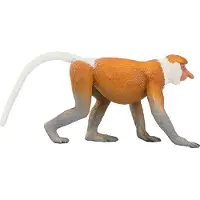 MOJO singe à trompe