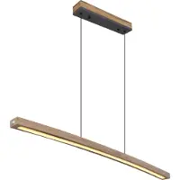 Globo Lampe pendante de conception Doro Graphite