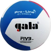 Gala Ballon de volley "Pro-Line BV5595S