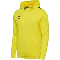 Hummel Sweat de sport 'Authentic PL' jaune / noir