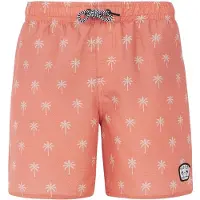 Protest Fonz Swimming Shorts Orange 176 cm Garçons
