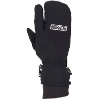 Bioracer Alaska Pro Mittens Noir XL