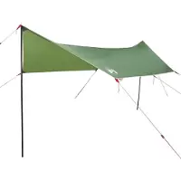 vidaXL Tente pour voiture Vert Imperméable