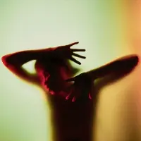 Bertus Distributie Filmmaker - Hollywood Cult [Vinyl Lp]