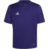 Adidas T-Shirt fonctionnel 'Tabela 23' gris argenté / violet foncé / blanc