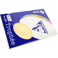 Clairefontaine Kopierpapier Pollen A4 80g/qm 100 Blatt chamois