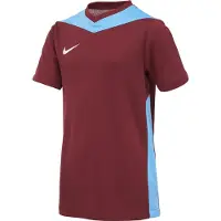 Nike T-Shirt fonctionnel bleu ciel / rouge carmin / blanc