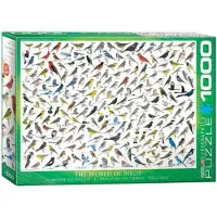 Sonstige Verlage Le monde des oiseaux par David Sibley