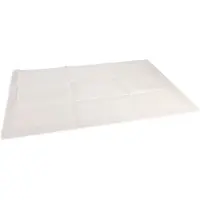 Beeztees Bz Chiots Trainigs Pads L 10x (Chien)