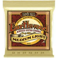 Ernie Ball 2003 Earthwood