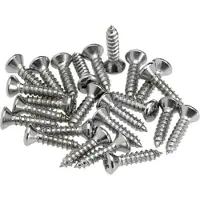 Fender TM) PG Mounting Screws chrome (24) (Pièces de rechange pour instruments), Instrument : accessoires, Argent