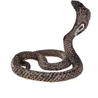 MOJO Cobra