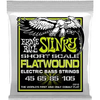 Ernie Ball 2818 Filet Plat Regular Slinky Flatwound Short Scale 45-105