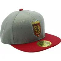 Harry Potter Unisexe, Casquette, HARRY POTTER - Snapback Cap - Grey Red - Gryffindor, Rouge, Gris, (Taille unique)
