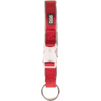 Dog Gone Smart Collier De Chien Comet Dog Rechargeable Light