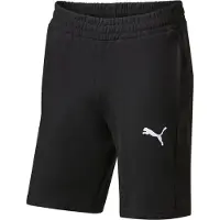 Puma Pantalon de sport 'TeamGOAL' noir / blanc