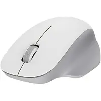 Xiaomi Wireless Mouse Comfort Edition souris Universel Droitier RF sans fil 1200 DPI