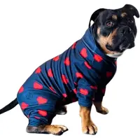 OEM Pyjama pour chien - Pull pour chien - Vêtements pour chiens - Vert - S
