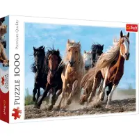 Trefl Puzzle 1000 : Chevaux au galop
