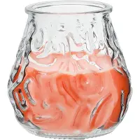 COSY&TRENDY Ct Mini Lowboy Transp Jaune Corail D7.5xh7.5cm (lot de 15)