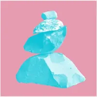 Bertus Distributie Bright & Findlay - Everything Is Slow [Vinyl Lp]