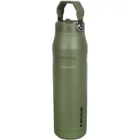 Stanley - Bouteille isotherme - The Iceflow Bottle Flip Straw 2.0 1.06L Dried Pine en Bois - Vert