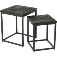 Jline Tables d'appoint Bois-Fer Noir Shanil (2 pièces)