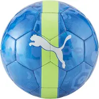 Puma Balle Cup Ball 08407502