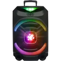 N-Gear THE FLASH 1550D - Enceinte Karaoké - 15" Woofer - Bluetooth - LED Light Show - Microphones sans fil inclus