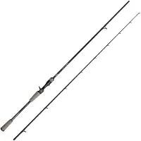 Mitchell Canne Baitcasting Traxx Mag Pro