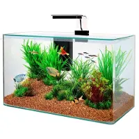 Zolux Kit Aquarium Aqua Clear 50