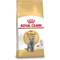 Royal Canin British shorthair 34 2x2 kg sucha karma dla kotów dorosłych, powyżej 12 miesiąca, rasy brytyjski krótkowłosy