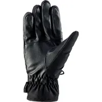 Viking Gants Pamir Gore-tex Infinium Windstopper