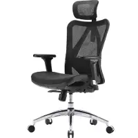Sihoo M57 (44 - 53 cm)