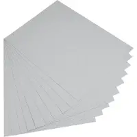 Folia Carton photo, (L)500 x (H)700 mm, 300 g/qm, gris clair (300 g/m², 10x)