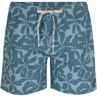 Protest Short De Bain Baza