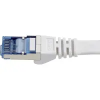 Renkforce - Câble de raccordement - RJ-45 (M) à RJ-45 (M) - 20 m - U/FTP - CAT 6a - sans halogène, moulé, sans crochet, plat - gris