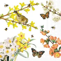 Ambiente Serviette "Lovely Springtime"