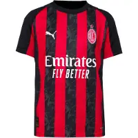 Puma T-Shirt fonctionnel 'AC Milan 25/26' rouge / noir / blanc