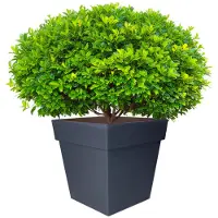 Eda TOSCANE Pot de fleurs carré, Gris anthracite, 32 cm, Dimensions : 32 x 32 x 32 cm, Volume : 22 L