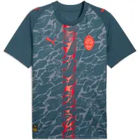 Puma Maillot 'FC Shakhtar Donetsk 25/26' gris / graphite / rouge feu