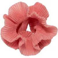 Pico The Classic Scrunchie Candy