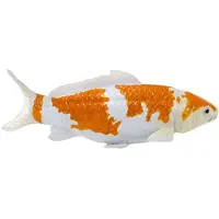 MOJO Sealife Koi-Karpfen – Ochiba Shigure Koi – 381104