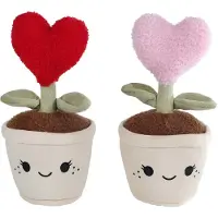 Van Manen Veenendaal Take Me Home Knuffel Plant Pluche - Hart, 27cm